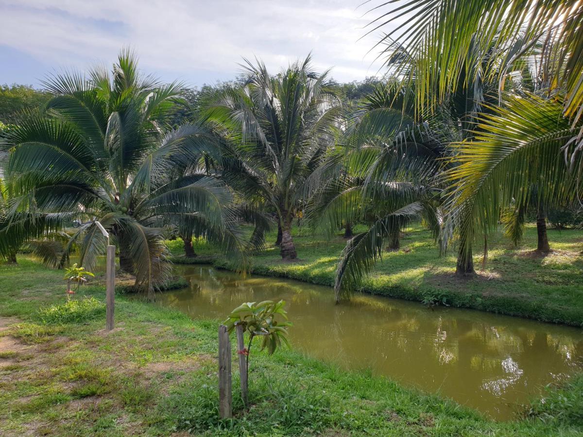Baan Suan Coconut Ko Yao Noi Hotel Eksteriør billede