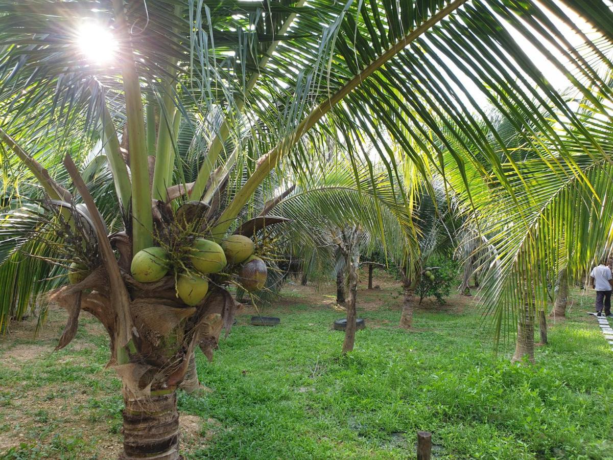 Baan Suan Coconut Ko Yao Noi Hotel Eksteriør billede